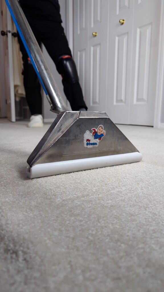 Carpet Cleaning Rotate this